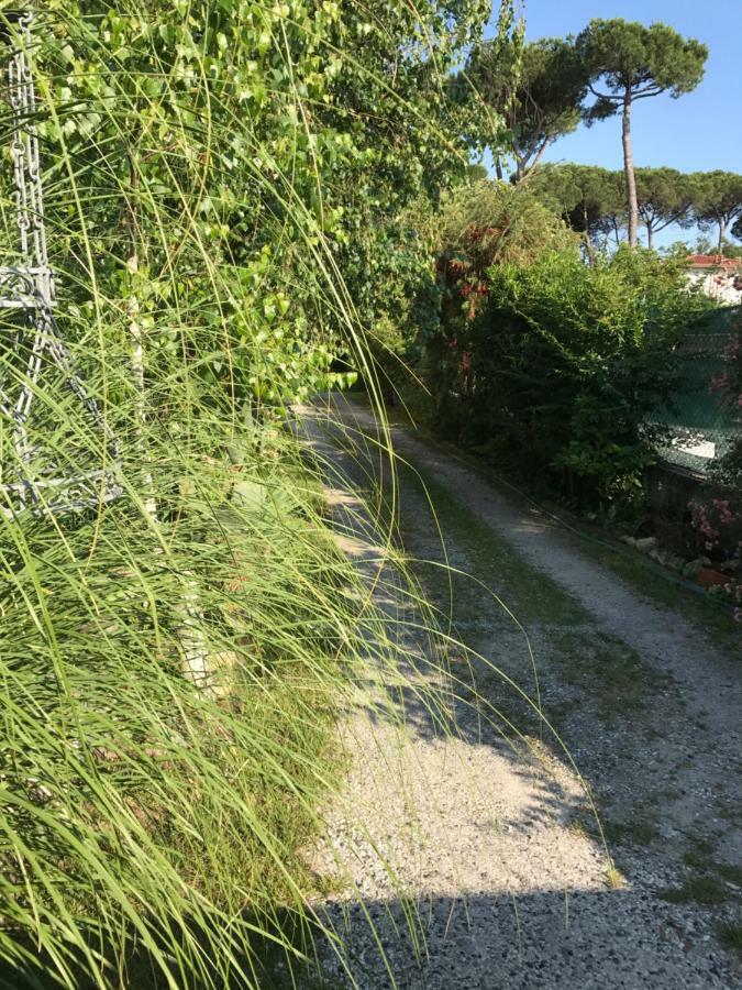 Ancora Bilocale Βίλα Marina di Massa Εξωτερικό φωτογραφία